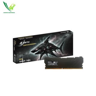 SSTC 16GB DDR5 5600MHz HEADSINK