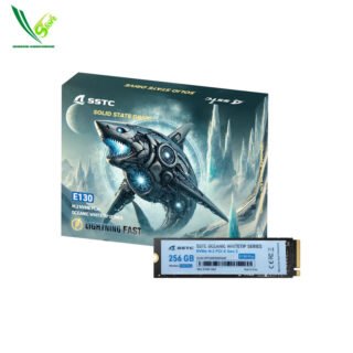 SSTC E130 PLUS 256GB M.2