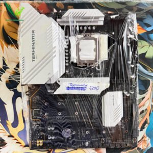 07 MB Z790 Terminator D5